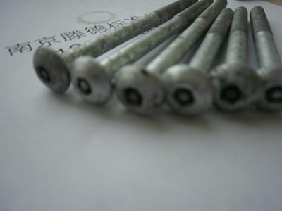 热镀锌防盗螺丝
